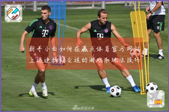 新手小白如何在赢点体育官方网站上迅速找到合适的游戏和玩法技巧