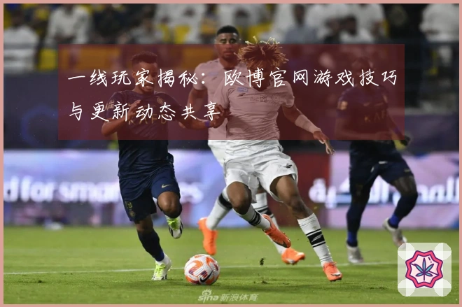 一线玩家揭秘：欧博官网游戏技巧与更新动态共享