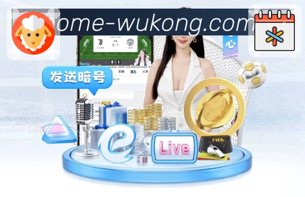 高频数据观察模块